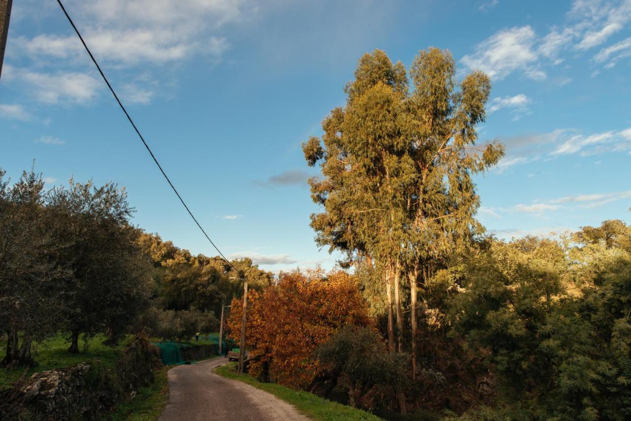 Azeite De Marvao, Olivoturismo Casa Venda Do Lagarヴィラ エクステリア 写真