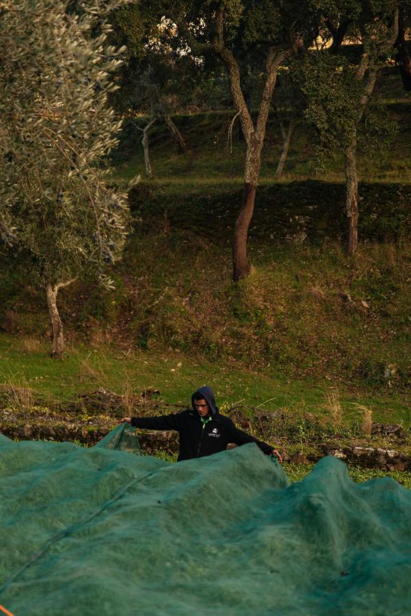 Azeite De Marvao, Olivoturismo Casa Venda Do Lagarヴィラ エクステリア 写真